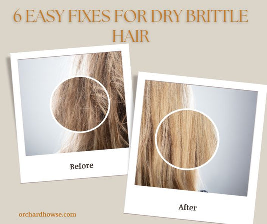 6 Easy Fixes for Dry Brittle Hair